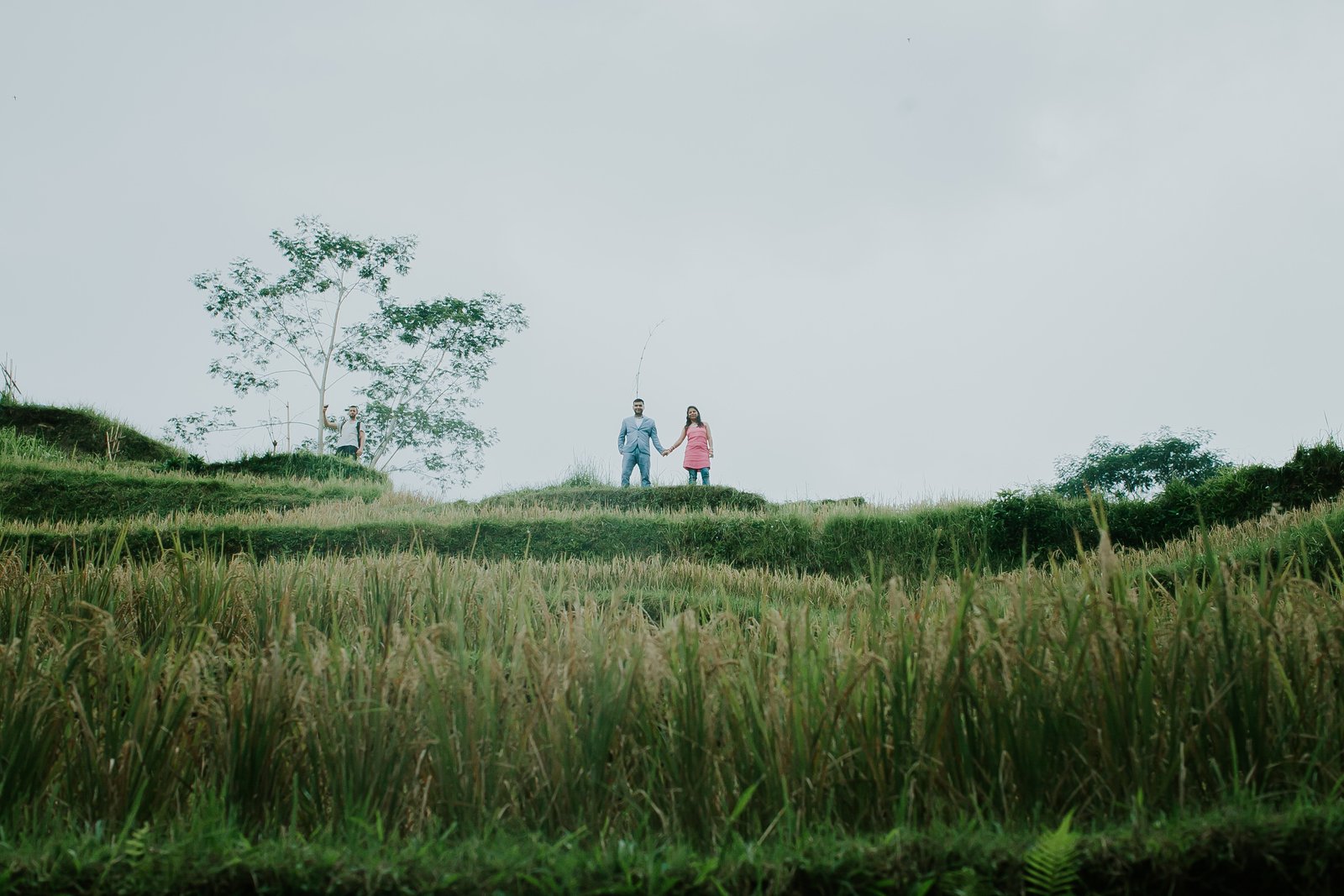 Nidhi & Abinav